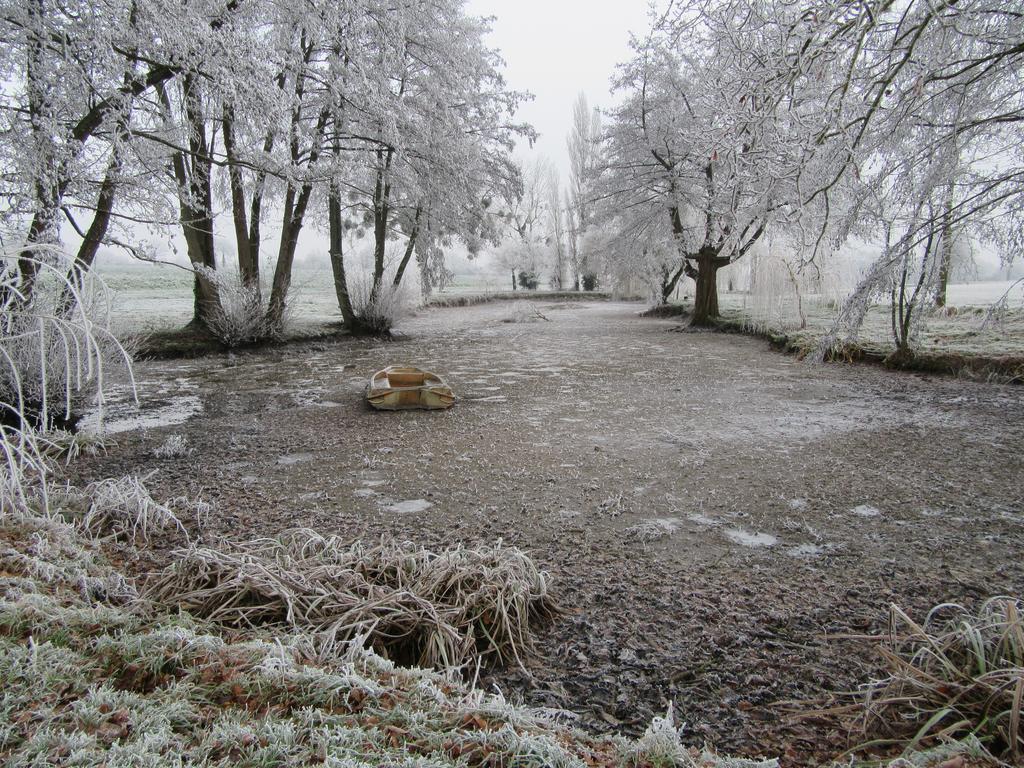 Les Gites D'Emilie Melesse Exterior foto