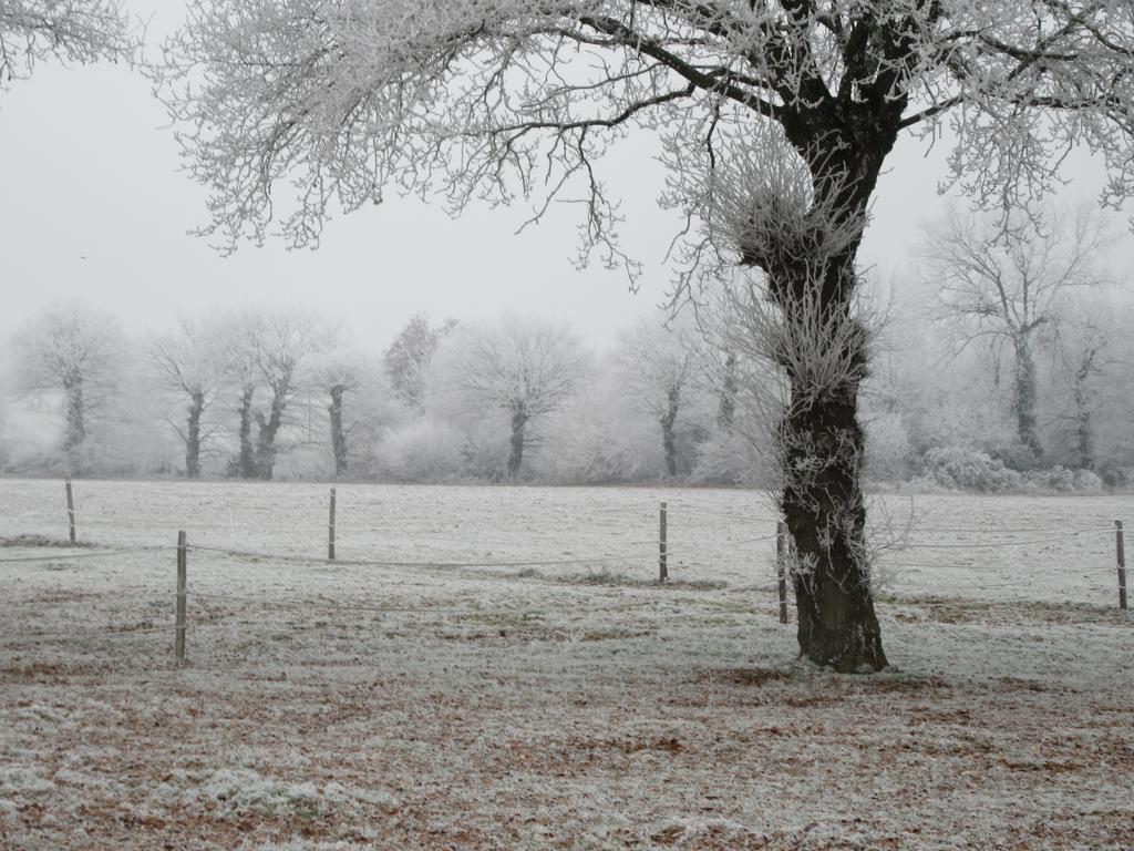Les Gites D'Emilie Melesse Exterior foto