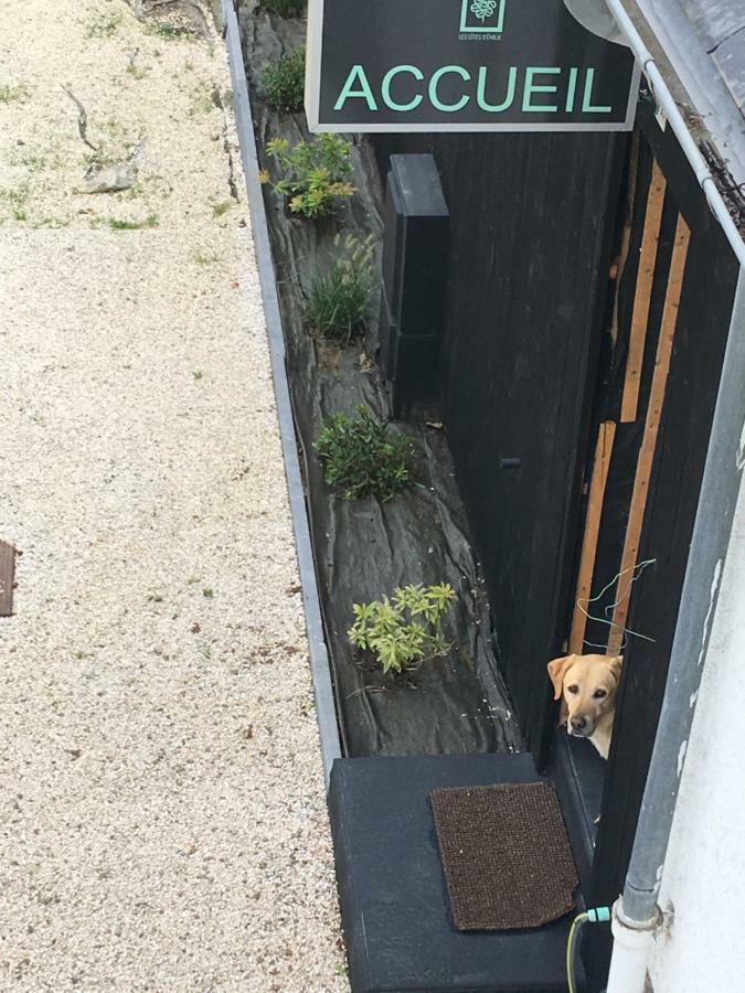 Les Gites D'Emilie Melesse Exterior foto